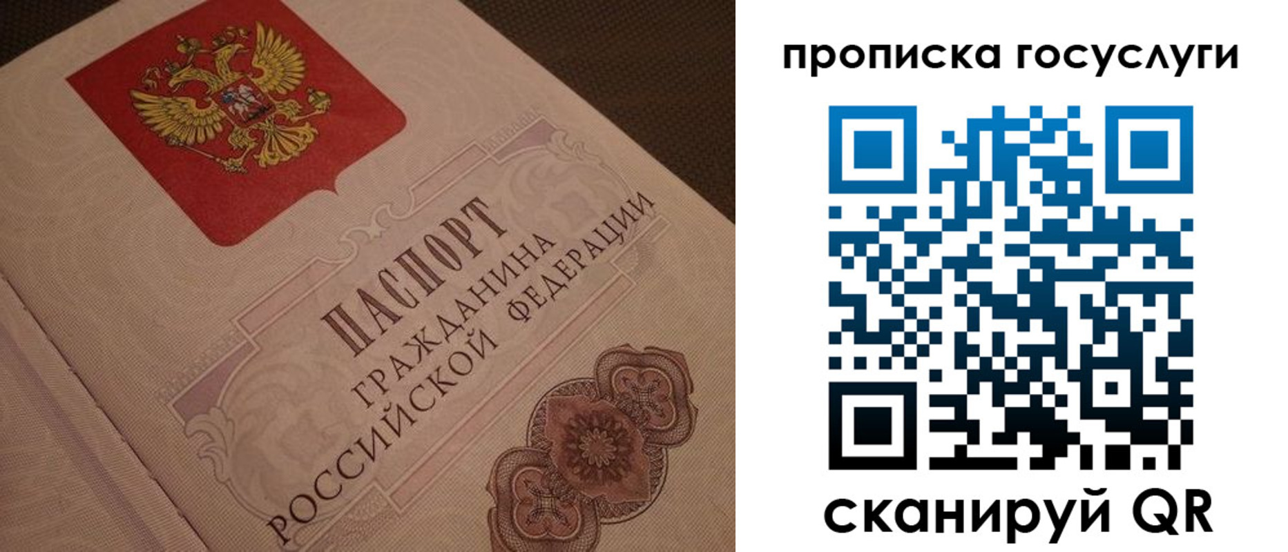 прописка для работы в Боровичах